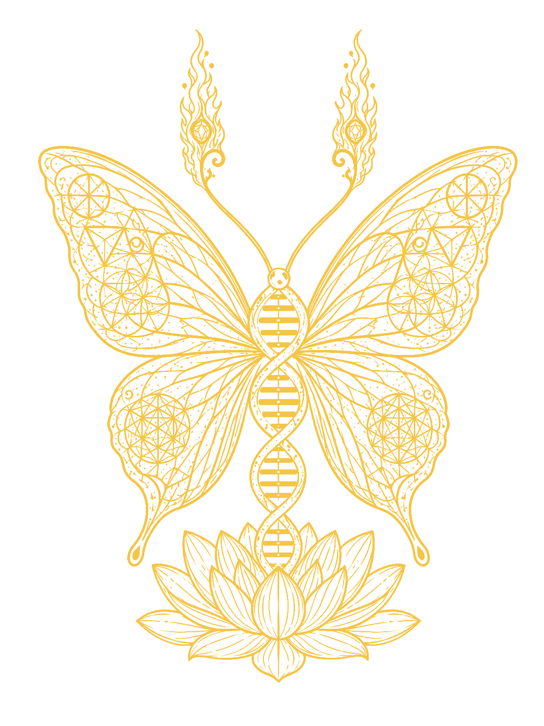 Bliss Halo Logo